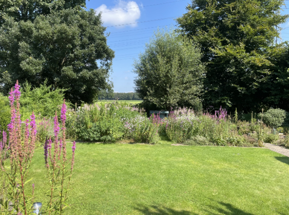 De biodiverse tuin van Niek Lelieveld